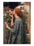 The Soul of the Rose