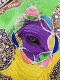 Buy Close-up of a Painted Elephant, Elephant Festival, Jaipur, Rajasthan, India at AllPosters.com