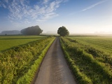 Buy Country road between agricultural fields in England at AllPosters.com