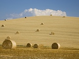 Buy Italy, Tuscany, Bales of straw on corn fields at AllPosters.com