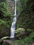 USA, Oregon, Columbia River Gorge Area, Scenic Waterfalls, Multonomah Falls
