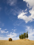 Tuscan landscape, hay bale, cypress tree