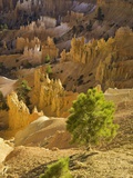 Sandstone hoodoos seen from Sunset Point in Bryce Canyon National Park