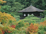 Jisho Temple- Silver Pavilion