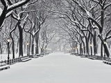 Central Park in Winter Photographic Print