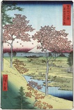 Sunset Hill, Meguro in the Eastern Capital