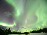 Aurora Borealis or Northern Lights, Yukon.