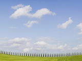 Italy, Tuscany, landscape