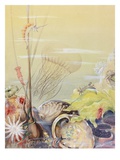 A Painting of a California Marine Sea Life Scene