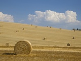 Buy Italy, Tuscany, Bales of straw on harvested corn fields at AllPosters.com