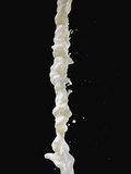 Buy Pouring White Liquid at AllPosters.com