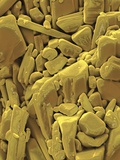 Buy Doxycycline is a member of the tetracycline antibiotic group at AllPosters.com