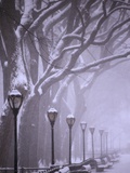 Buy Central Park in winter at AllPosters.com
