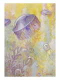 A Painting of Two Different Species of Jellyfish