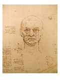 Drawing of facial study by Leonardo da Vinci