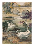 A Painting of Several Black and White Swans