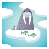 Walrus on pack ice