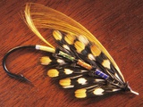 Hand Tied Atlantic Salmon Fishing Fly, British Columbia, Canada.