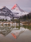 Buy Mount Assiniboine at sunrise, Banff, British Columbia, Canada at AllPosters.com