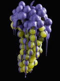 Grapes dripping with color