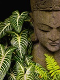Statue in a Garden Location Information: Chiang Mai, Thailand Photographic Print
