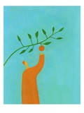 Man picking an orange Giclee Print