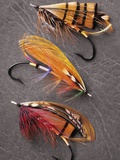 Atlantic Salmon Flies Still Life, Canada.