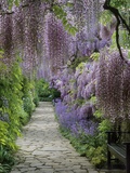 Spring garden Fotografie-Druck