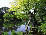 Kenrokuen, Ishikawa, Japan