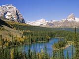 Mary Lakes and Autumn Larches, Lake O'Hara Region, Yoho National Park, British Columbia, Canada.