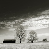 Newnan