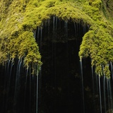 A moss covered waterfall in the Bavarian Allg?u Photographic Print