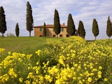 Buy Orcia valley in spring at AllPosters.com