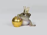The Frog Prince and Gold Ball, Studio Shot Photographic Print