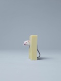 Mouse sticking head out of cheese