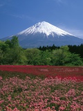 Beautiful View of Mountain