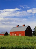 Old Red Barn in Field