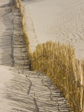 Reed fencing holding sand to prevent desertification