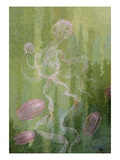 A Painting of Two Species of Comb-Jellies