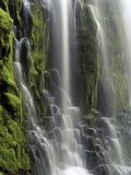 USA, Oregon, Proxy Falls - Waterfall Details Photographic Print