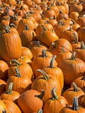 Buy Pumpkins at AllPosters.com