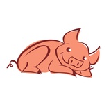 Buy Pig Laying Down at AllPosters.com