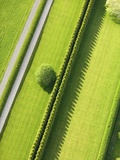 Hedge in The Hamptons
