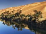Dune rising from Um el Ma Lake