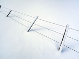 Fence and Snow in Pasture, near Cremona, Alberta, Canada