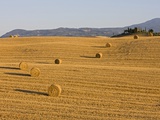 Buy Italy, Tuscany, Bales of straw on corn field, Farmstead in background at AllPosters.com