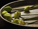 Lotus buds in offering plate at Ayuthaya in Thailand