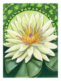 Buy Heart Chakra at AllPosters.com