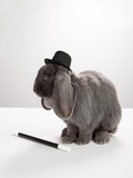 Buy Rabbit wearing top hat with magic wand at AllPosters.com