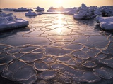 Frigid Looking Water